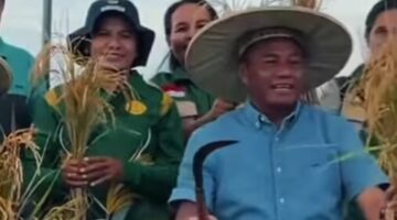 Masyarakat Tani Kapasiok Panen Raya Bersama Bupati Rote Ndao dan Menhut