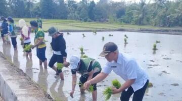 Gerakan Tanam Serempak di Moina-Keoen, Pemkab Rote Ndao Perkuat Langkah Menuju Swasembada Pangan Berkelanjutan