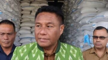 Dari Lumbung Petani ke Gudang Bulog: Paulus Henuk Pastikan Hasil Panen Rakyat Menjadi Pilar Ketahanan Pangan Rote Ndao